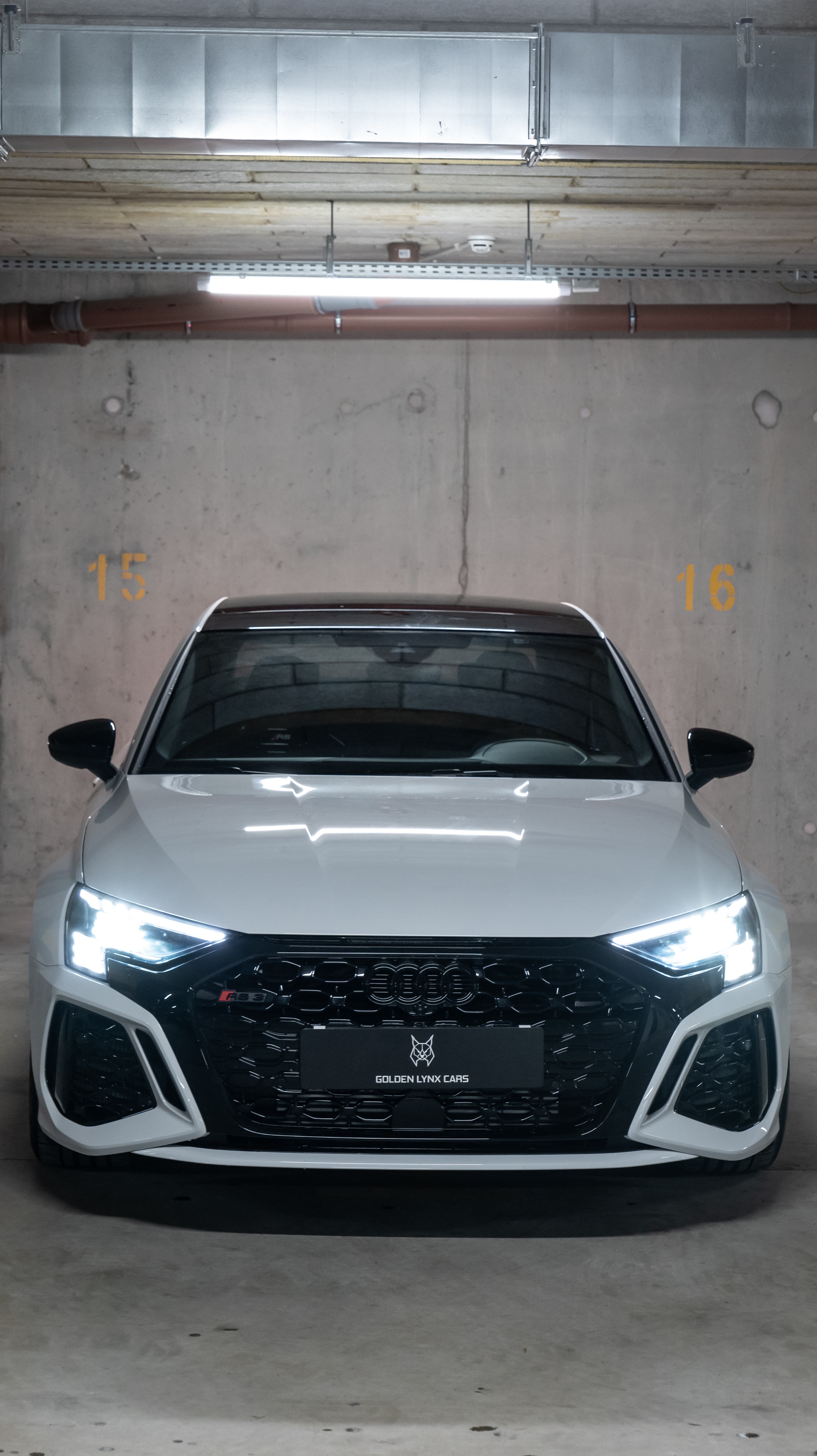 Audi RS3 Preformance