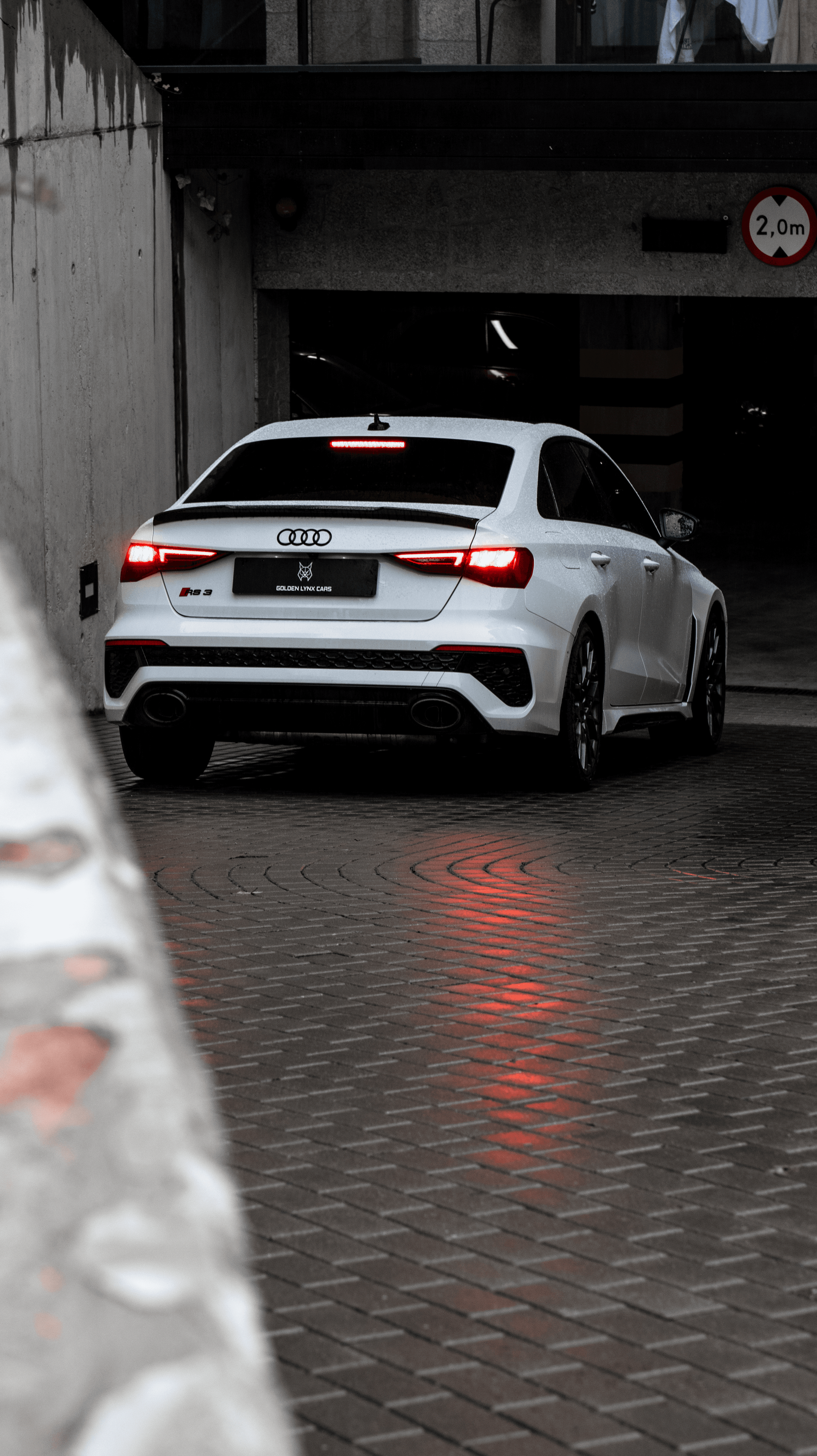 Audi RS3 Preformance